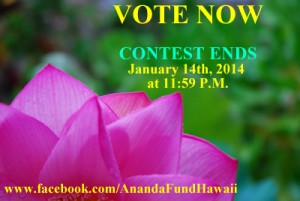 VOTE NOW_Ananda_Fund_Hawaii